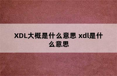 XDL大概是什么意思 xdl是什么意思